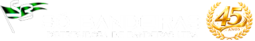 Só Bandeiras Logo